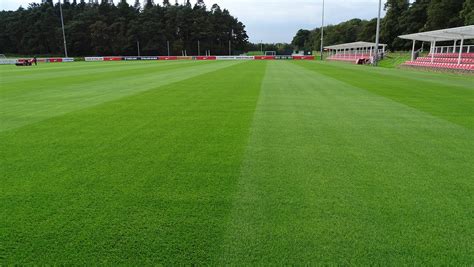 hybrid grass football pitch
